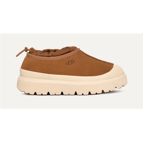 Zapatillas Marrones Ugg Hombre Tasman Weather Hybrid Chestnut/Whitecap 40