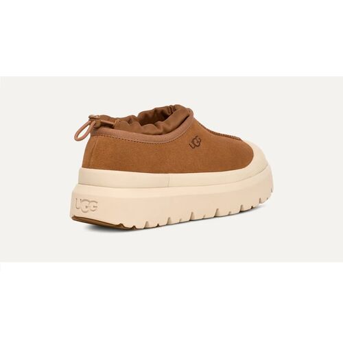 Zapatillas Marrones Ugg Hombre Tasman Weather Hybrid Chestnut/Whitecap 40