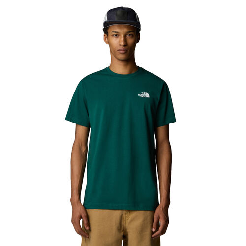 Camiseta Verde The North Face Redbox Tee Smoked Pearl-Hero Blue M