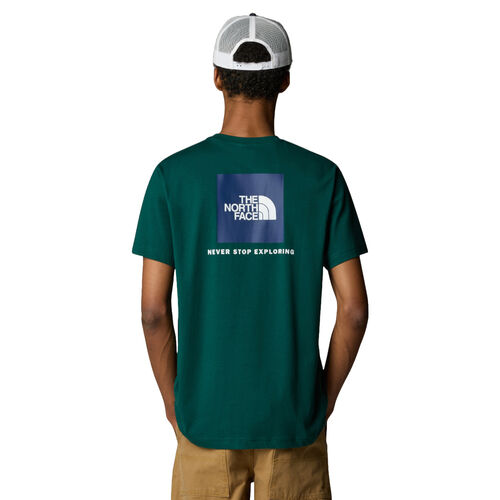 Camiseta Verde The North Face Redbox Tee Smoked Pearl-Hero Blue M