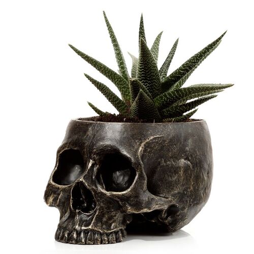 Maceta para Plantas Calavera Puckator TU